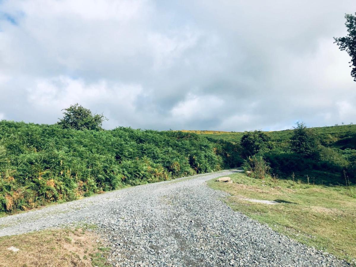 Yar Tor Bungalow Yelverton Bagian luar foto